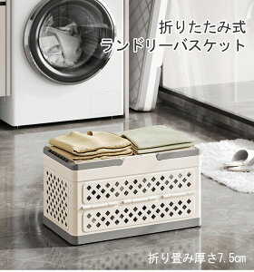 y10%OFFN[|zzI 05/25 23:59I!zJS h[oXPbg ܂肽 󕨓 X e t   󂩂 y  [ ʏ  [ 