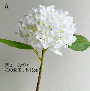 y10%OFFN[|zzI 09/11 23:59I!z  z ԃu[P tFCNt[ VNt[ skreppa tFCNfCW[ ϗtA ǂ̓ ̓ u[P Ԃ݂