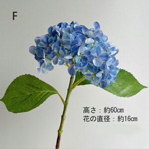 y50lI5%OFFN[|zzI10/31 23:59Iz  z ԃu[P tFCNt[ VNt[ skreppa tFCNfCW[ ϗtA ǂ̓ ̓ u[P 