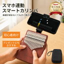 【250円OFF配布中】【楽天受賞】カリンバ スマホ連動 ゆびピアノ親指ピアノ 天然木製 17音 21音 初心者セットスマホス…