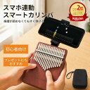 【380円OFF配布中】【楽天ランキング2位】カリンバ スマホ連動 ゆびピアノ親指ピアノ 天然木製 17音 21音 初心者セッ…