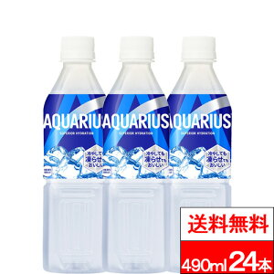 y SzΉ zy 1P[X zy  zy RJER[ z ANGAX Ⓚ 490ml 24{ X|[chN X|[c X|h ybg{g aquarius RJR[ MǑ΍