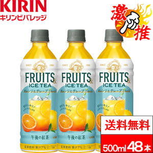 y ACe zy  z L ߌ̍g t[c&ACXeB[ IWƃO[vt[c 500ml 24{×2 (v48{) g ACXeB[ t[ceB[ r^~C SSeB[ 