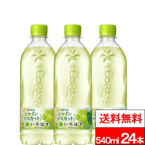 y N[|Ώ zy SzΉ zy 1P[X zy  zy RJER[ zEÉE VC}XJbg 540ml PET 24{ ͂ VR TCN ybg{g GR ilohas