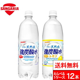 【 1ケース 】【 送料無料 】 強炭酸 伊賀の天然水 炭酸水 選べる 炭酸水 1000ml 12本 送料無料 サンガリア 伊賀の強炭酸水 ペットボトル 天然炭酸水 まとめ買い 炭酸ソーダ レモン炭酸水 ソーダ水 1リットル 大量 プレーン レモン