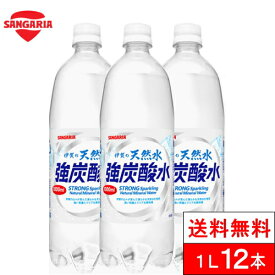 【期間限定SALE】【送料無料】【1ケース】 サンガリア 強炭酸 伊賀の天然水 強炭酸水 プレーン 炭酸水 1000ml 12本 送料無料 スパークリングウォーター 天然炭酸水 ソーダ 無糖 タンサン スパークリング ケース セット 1l 箱 1リットル まとめ買い 炭酸1000