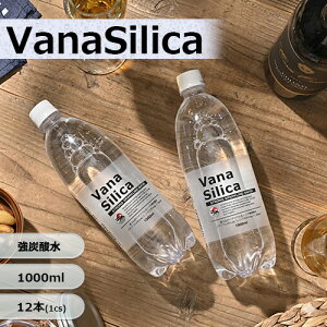 �y ���ʉ��i �z �Y�_�� 1000ml �������� 12�{ ���� VanaSilica �o�i�V���J ���Y�_ �^���T�� �o�i�W�E�� �V���J �N���b�N�� �I���W�i�� ����� �܂Ƃߔ��� SODA PFOS PFOA PFAS �����ς� ���o���E�ȉ�