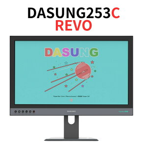 DASUNG253�V���[�Y 25.3�C���`��^�d�q�y�[�p�[�o��PC���j�^�[