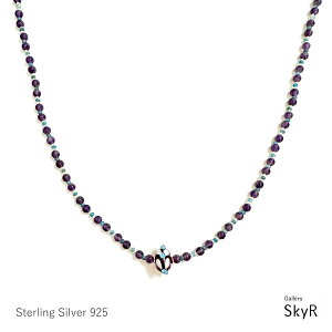 Ag  Ap^Cg lbNX SV Vo[925 ʐ^i