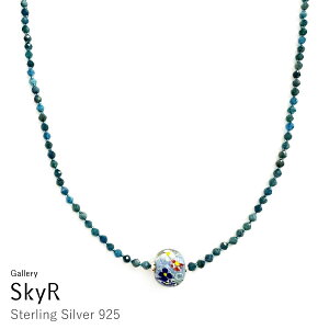 Ap^Cg t[ lbNX SV Vo[925