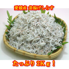 業務用！訳あり　愛媛県産 ふんわり柔らかい 釜揚げ しらす　2kg（1Kg×2袋）　送料無料（北海道・東北・沖縄県除く）