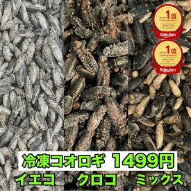 コオロギ 冷凍 イエコ クロコ ML メガ ミックス 生産者直販売 生き餌 爬虫類 両生類 ヨーロッパイエコオロギ トカゲ カナヘビ 小動物 カナヘビ トカゲ餌 ヤモリ カエル 冷凍餌 昆虫 えさ エサ 餌用 蛇 かえる 蛙 まとめ買い 送料無料