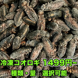 コオロギ 冷凍 イエコ クロコ ML メガ ミックス 生産者直販売 生き餌 爬虫類 両生類 ヨーロッパイエコオロギ トカゲ カナヘビ 小動物 カナヘビ トカゲ餌 ヤモリ カエル 冷凍餌 昆虫 えさ エサ 餌用 蛇 かえる 蛙 まとめ買い 送料無料
