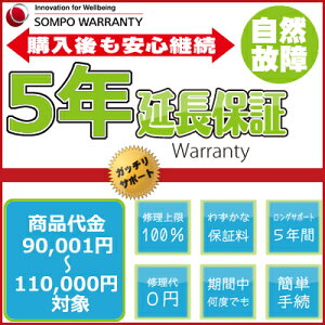 5年延長保証 商品代金90,001円〜110,000円(税込)の商品対象