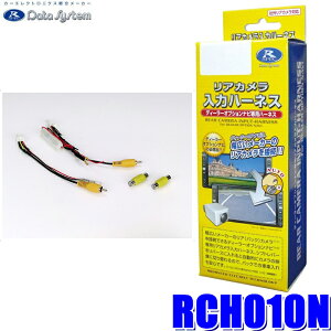 y11/15ző3,000~OFFN[|zzIRCH010N f[^VXe DataSystem AJ̓n[lX n[lXp^Cv