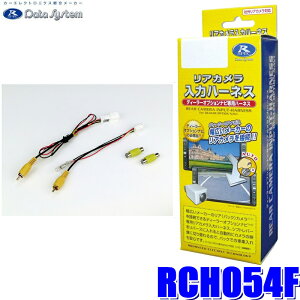 y11/15ző3,000~OFFN[|zzIRCH054F f[^VXe DataSystem AJ̓n[lX n[lXp^Cv