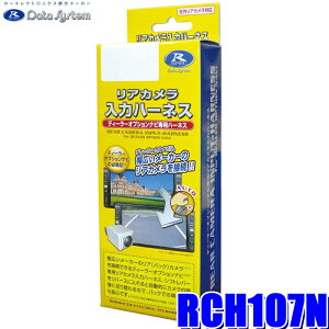 y11/18ző3,000~OFFN[|zzGg[PTő4{RCH107N f[^VXe DataSystem AJ̓n[lX RCAYfB[[IvVirRlN^ϊ