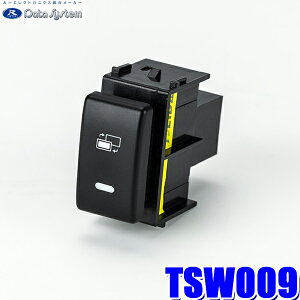 y11/18ző3,000~OFFN[|zzGg[PTő4{TSW009 f[^VXe DataSystem rgCXCb` Yp TYPE-A