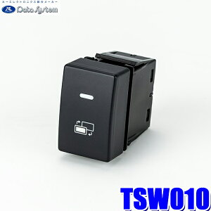 y10/5ző3,000~OFFN[|zzITSW010 f[^VXe DataSystem rgCXCb` z_p TYPE-B