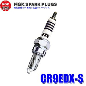 y11/20ző3,000~OFFN[|zzIy[֑ΉzCR9EDX-S(91579) {ꓩ NGK MotoDX Xp[NvO֎ԗp