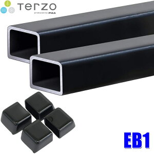EB1 TERZO �e���b�c�I �e���b�c�H �V�X�e���L�����A�p�X�N�G�A�o�[�Z�b�g ����110cm ��{���� �o�[�G���h�L���b�v�t��