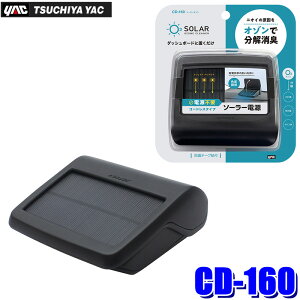 CD-160 CD160 YAC ƉbN \[[I] L ԓ ԍ I]ZxF0.03ppmȉ