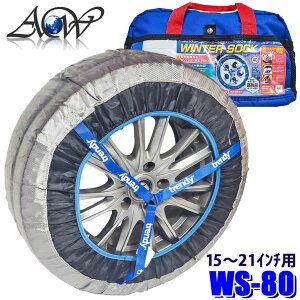 y11/30ző3,000~OFFN[|zzIWS-80 ACW×trendy AZg[h×gfB EB^[\bN WINTER SOCK z^C`F[ `F[KKi 15`21C`Ή