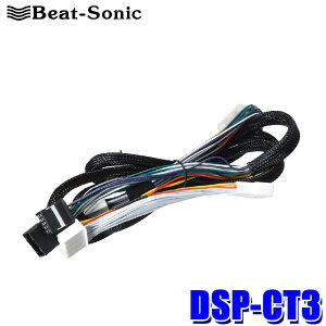 DSP-CT3 Beat-Sonic r[g\jbN TOON X V[YpP[u g^ fBXvCI[fBIԐڑpn[lX(28s/10s) F2m