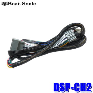 ytbVN[|ΏۃVbvző2,000~OFFI11/1(y)0:00`DSP-CH2 Beat-Sonic r[g\jbN TOON XV[Y pP[u z_ irԐڑpn[lX 2m