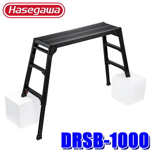 DRSB-1000 Hasegawa JH A~  ubN L^Cv r Ƒ  ݑ ω׏d100kg(kCEE zs)