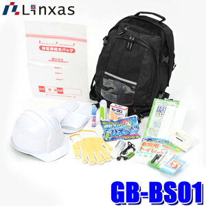 GB-BS01 LINXAS NTX GENBAG QobOh17_Zbg hЃobO ObY po FMWI/wbg/Cg/pgC/obO
