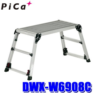 DWX-W6908C PiCa sJR[|CV lrAWXg  DWX^ Ƒ ݑ A~ Vꍂő0.91m ω׏d100kg (kCEE zs)