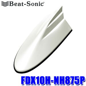 ytbVN[|ΏۃVbvző2,000~OFFI11/1(y)0:00`FDX10H-NH875P Beat-sonic r[g\jbN htBAei TYPE10 z_J[V[Y v~AzCgp[II(NH875P) z