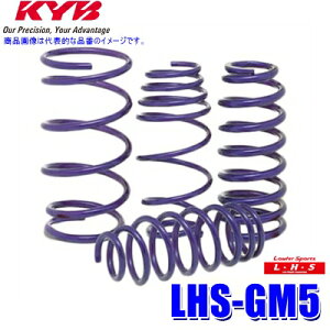 LHS-GM5 KYB Jo [t@[X|[cLHS [_ETXyViXvOj z_ OCXpԗ䕪Zbg (E zs)