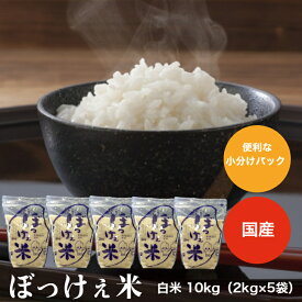 令和7年産入り ぼっけぇ（ぼっけえ） 米 10kg【2kg×5袋】or【5kg×2袋】選べる袋 小分けパック（脱酸素剤入り） ブレンド米 国内産 送料無料