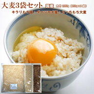 大麦3袋セット 各950g1袋ずつ（ もっちもち大麦/キラリもち麦/ダイシモチ）チャック付き 国内産 送料無料…