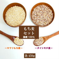 令和7年産 岡山県産 もち麦セット (キラリもち麦・ダイシモチ)各450g 国内産 ポイント消化 送料無料 雑穀…