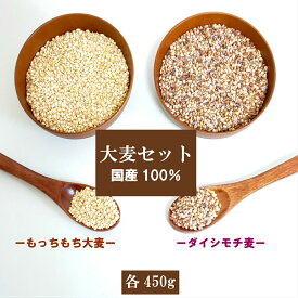 国内産 大麦セット (もっちもち大麦：α化・ダイシモチ)各450g ポイント消化 送料無料 雑穀・雑穀米 古代米 食品 安い お試し 美容・ダイエット・健康 メール便