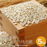 令和7年産 もち麦 国産 岡山県産 キラリもち麦 5kg 1袋 送料無料 雑穀・雑穀米 古代米 食品 安い 美容・…