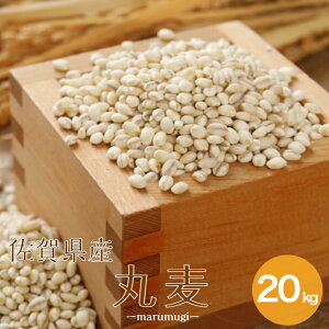唞 ߘa6NY ꌧY ۔(唞) 20kg(5kg×4)  ykCEʓrǉz