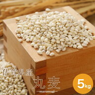 令和7年産 佐賀県産 丸麦(大麦) 5kg 1袋 α化 送料無料