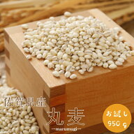 令和7年産 佐賀県産 丸麦 (大麦) 950g 1袋 α化処理 チャック付き 脱酸素剤入り もち麦の代わりに ポイン…
