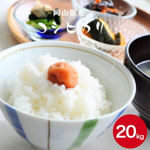 �ߘa7�N�Y ���� 20kg ���R���Y �R�V�q�J�� 20kg(5kg×4��) ���������y�k�C���E����ʓr�����ǉ��z