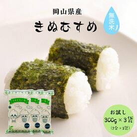 令和5年産 ポイント消化 送料無料 お試し お米 無洗米 食品 安い 1kg以下 特A獲得 里海米 岡山県産きぬむすめ 無洗米 900g【300g(2合)×3袋】メール便