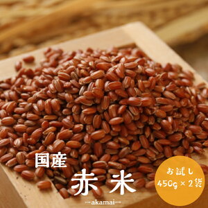 GEG 󂠂ԕ 900g(450g×2) ߘa6NY  Y Ñ  |Cg 1kgȉ eE_CGbgEN [