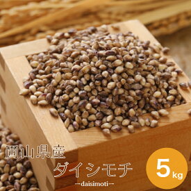 令和7年産 もち麦 国内産 ダイシモチ 5kg 岡山県産 送料無料 雑穀・雑穀米 古代米 食品 安い 美容・ダイエット・健康