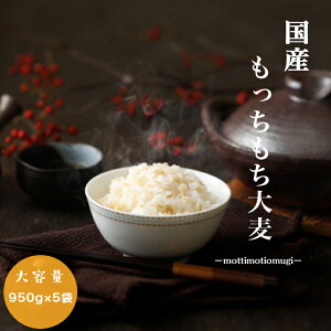 唞 Y 唞 950g×5 `bNt  GEG Ñ Hi  eE_CGbgEN ̑