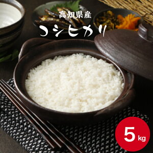 新米 令和7年産 お米 5kg 高知県産 コシヒカリ 5kg 1袋 送料無料