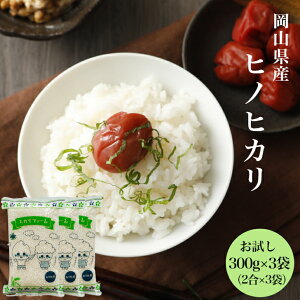 令和6年産 ポイント消化 送料無料 お試し お米 食品 安い 1kg以下 岡山県産 ヒノヒカリ 900g【300g(2合)×3袋】メール便