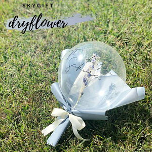 yēׁzyzhCt[o[iu[j@AWg o[u[P o[d D   ԑ j o[Mtg Mtg p[eB[ TvC